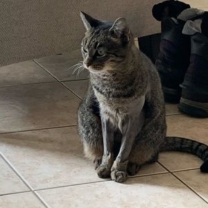 Meet your Posher, Tia